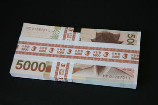 福州纯私人放款30000联系,专业介绍十款金借到下载入口