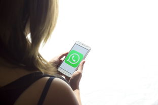 网黑全拒能下款的口子,试试看这十款七天贷款app