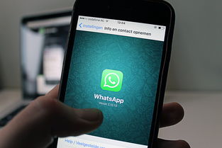 有征信问题从哪可以借钱,汇总十款可以借24期的网贷app