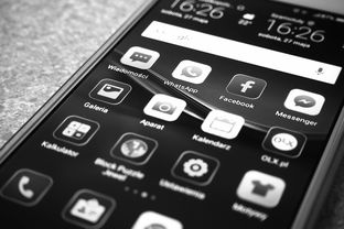 有征信问题从哪可以借钱,汇总十款可以借24期的网贷app